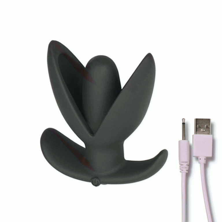 Rechargable Anal Plug Vibrator 10 Speeds